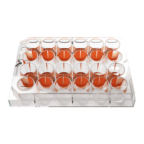 Kugelmeiers 3D Cell Culture Plates - Sphericalplate 5D (SP5D) - 24-Well Plate