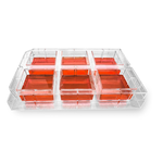 Kugelmeiers 3D Cell Culture Plates - Sphericalplate 5D (SP5D) - 6-Well Plate
