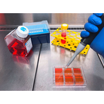 Kugelmeiers cell culture plates – Sphericalplate 5D (SP5D) - 6-Well Plate