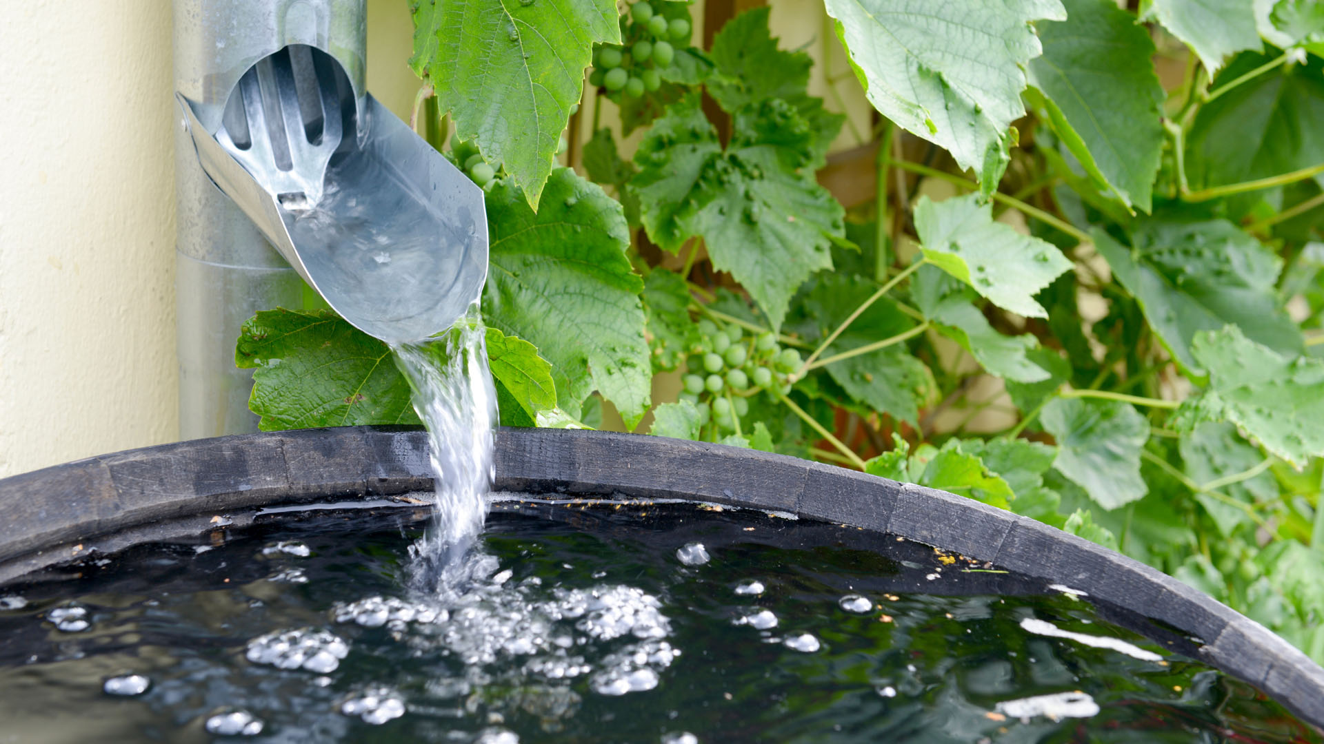 Sample preparation for the study of rainwater radioactivity