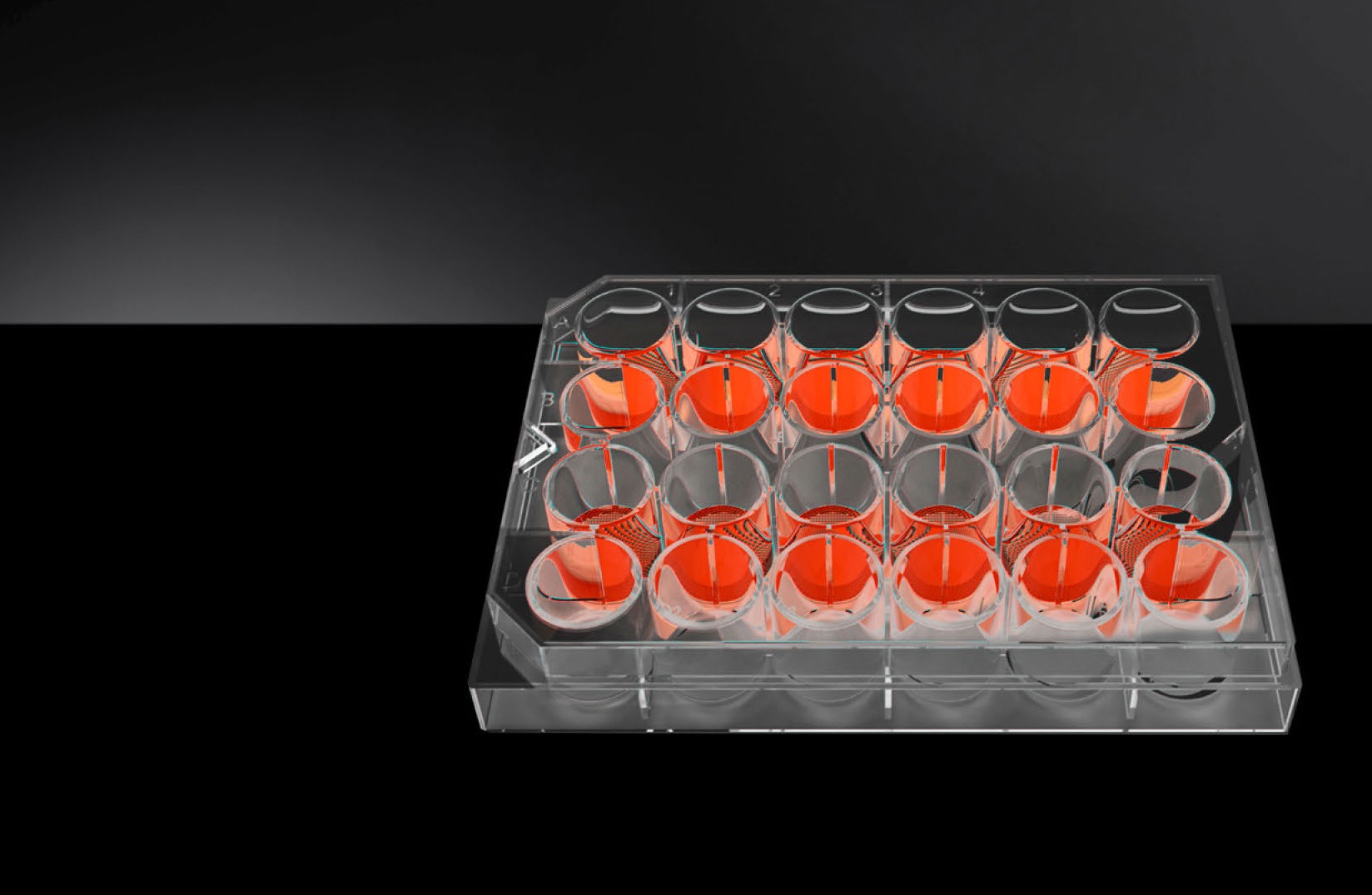 3D cell culture plates